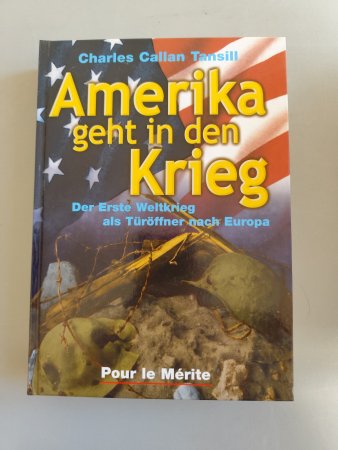 Amerika geht in den Krieg - Der 1. Weltkrieg als Türöffner nach Europa