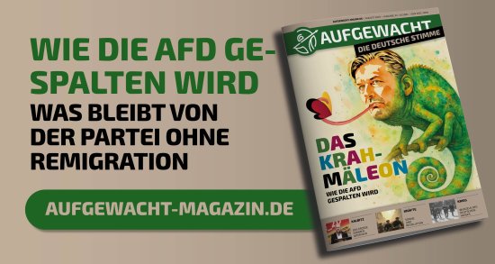 AUFGEWACHT 8/25 – „DAS KRAHMÄLEON - WIE DIE AFD GESPALTEN WIRD"
