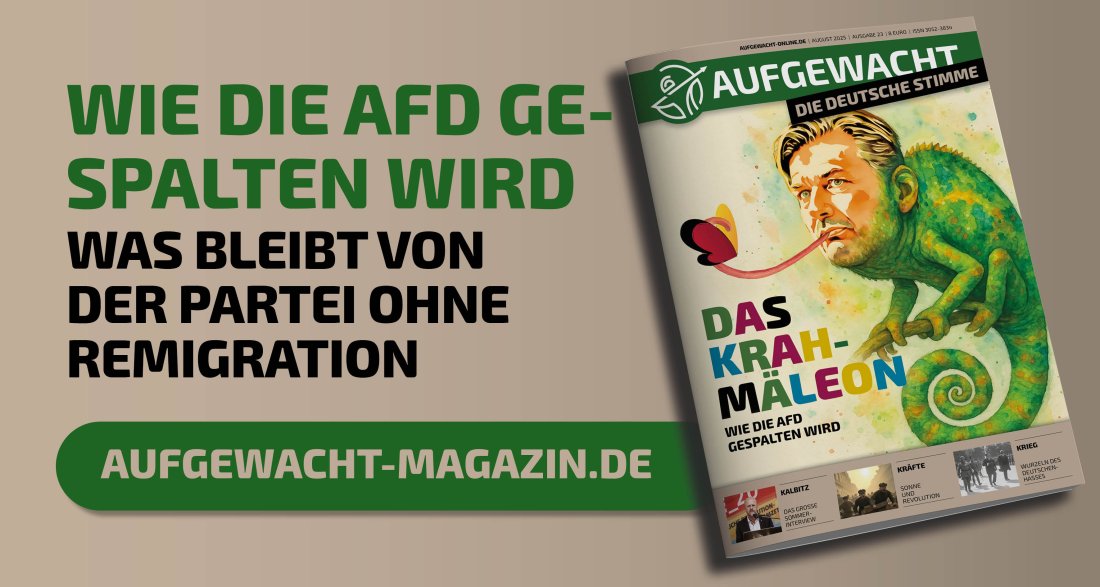 AUFGEWACHT 8/25 – „DAS KRAHMÄLEON - WIE DIE AFD GESPALTEN WIRD"